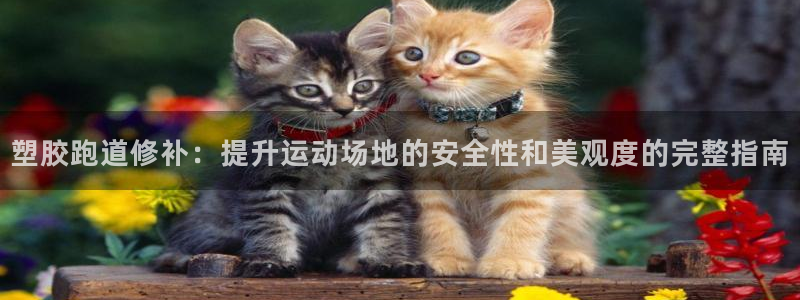 百度红足一1是干什么的