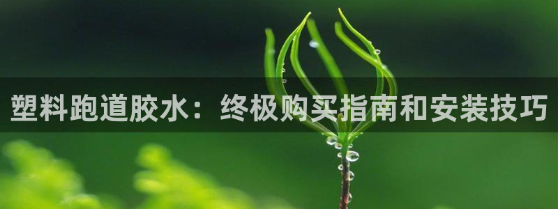 66814红足一66814世