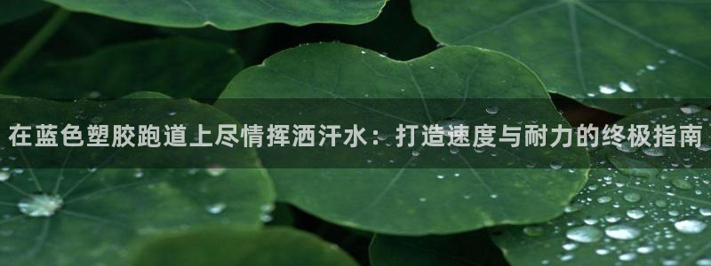 红足一1世666814足球