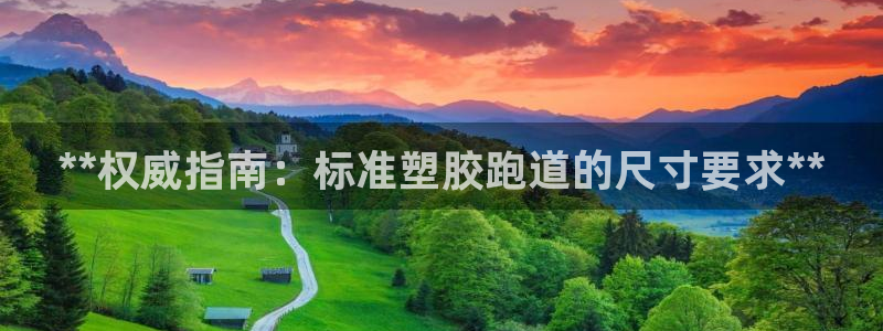 红足一1世官网：**权威指南：标准塑胶跑道的尺寸要求**