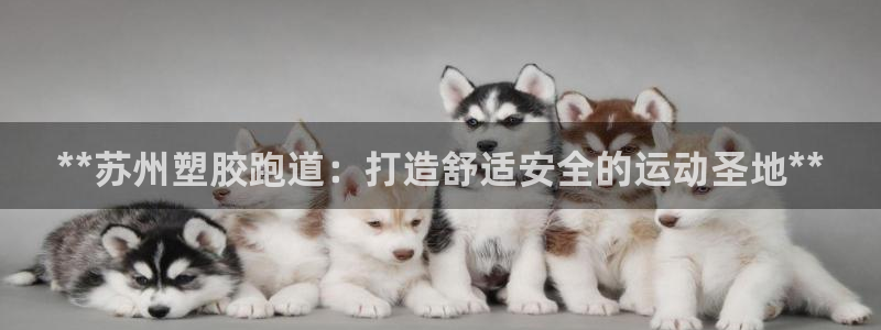 红足足球网：**苏州塑胶跑道：打造舒适安全的运动圣地**