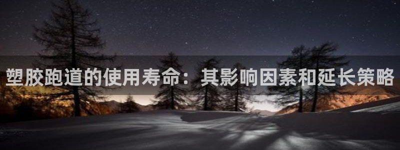 百度红足一1是什么样子的