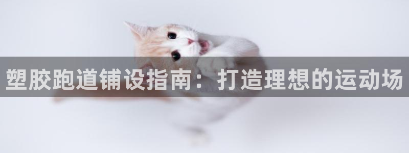 红足1一世足球手机