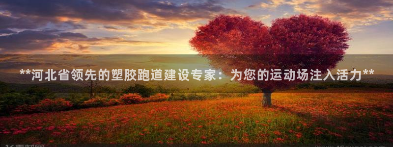 红足1世1站2站管理网：**河北省领先的塑胶跑道建设专家：为您的运动场注入活力**