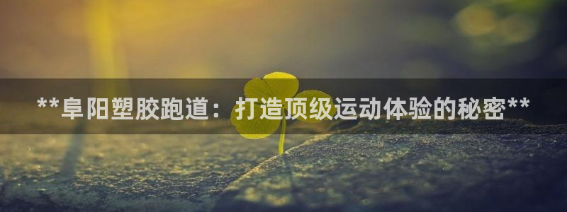 红足网足球直播