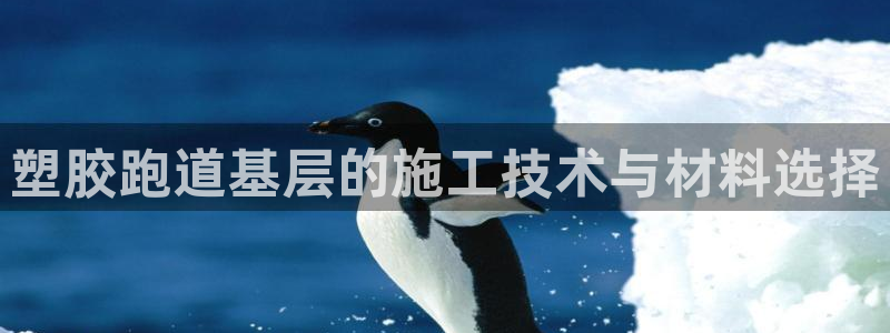 红足1世手足球比分：塑胶跑道基层的施工技术与材料选择
