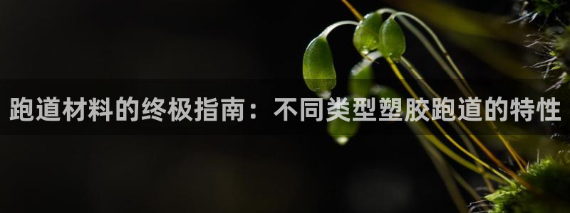 百度红足一1视频在线观看