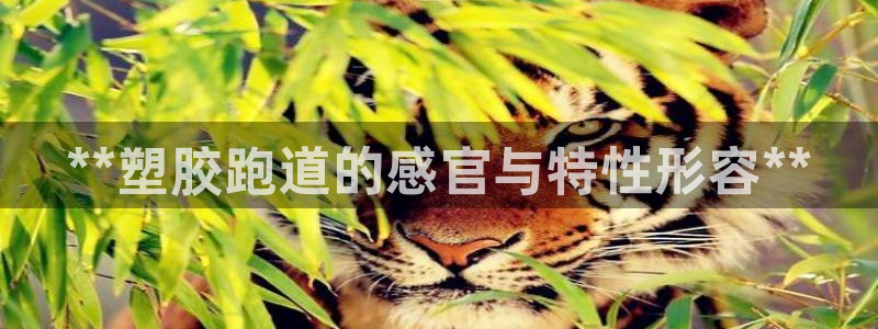 红足1一世