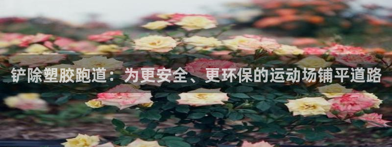 百度红足一1是为什么