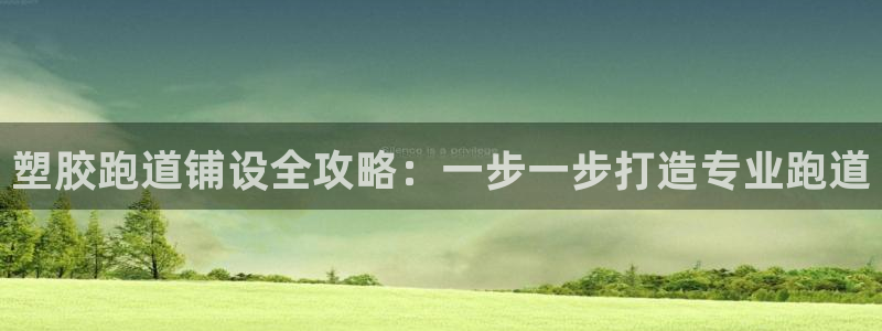 红足一比分网：塑胶跑道铺设全攻略：一步一步打造专业跑道