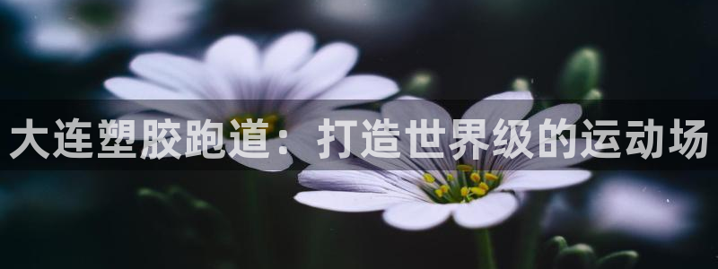 红足一1世77814：大连塑胶跑道：打造世界级的运动场