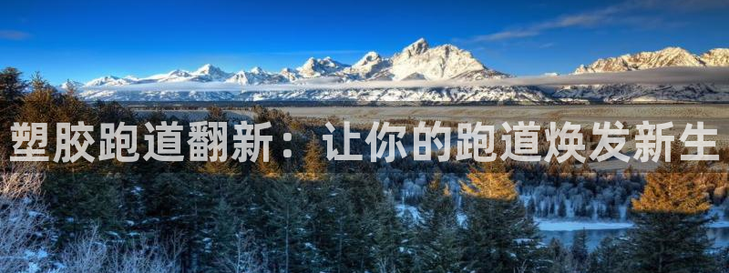 百度红足一1是什么样子的：塑胶跑道翻新：让你的跑道焕发新生