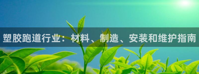红足1一世红：塑胶跑道行业：材料、制造、安装和维护指南
