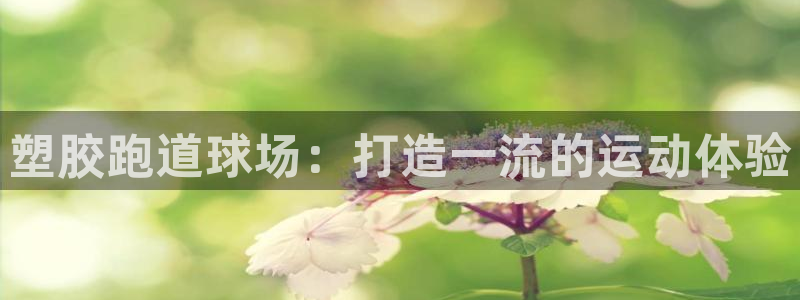 红足一1世手机皇冠：塑胶跑道球场：打造一流的运动体验