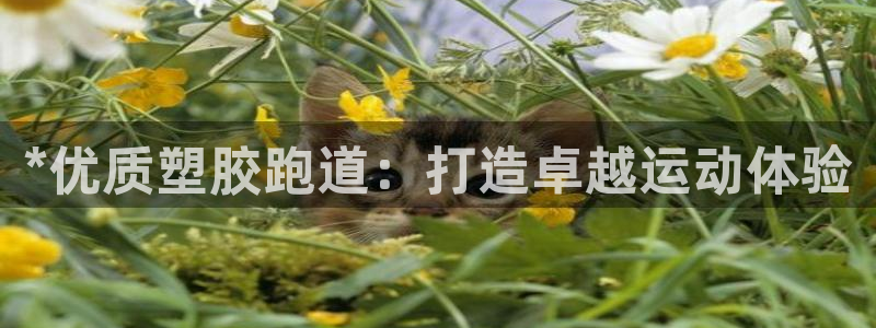 红足1世手机版下载