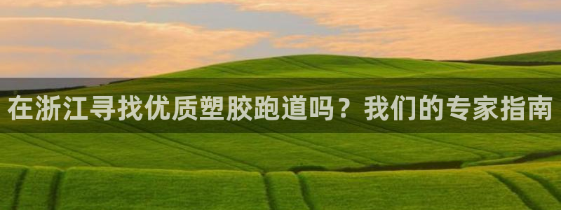 新2足球平台出租网站：在浙江寻找优质塑胶跑道吗？我们的专家指南