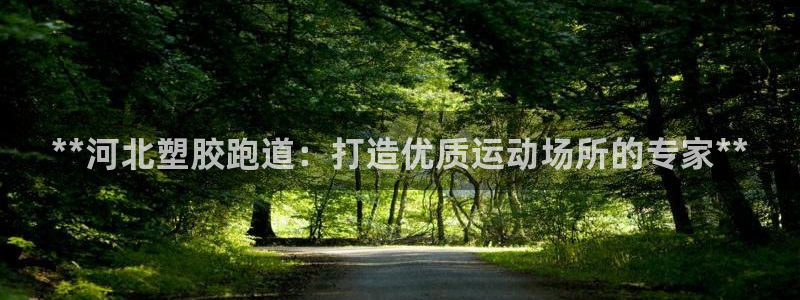 红足一一世：**河北塑胶跑道：打造优质运动场所的专家**