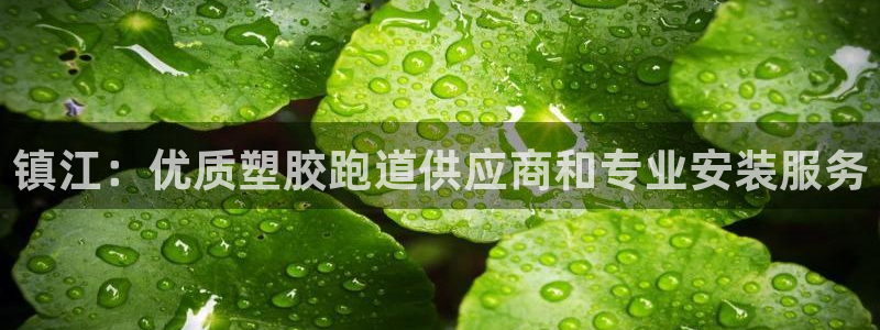 红足一生世：镇江：优质塑胶跑道供应商和专业安装服务