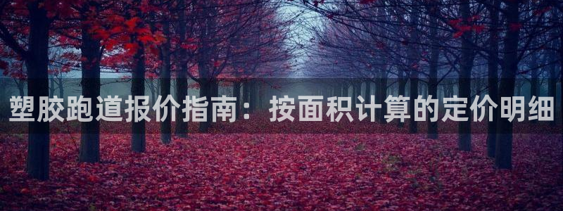 百度红足一1是干什么的：塑胶跑道报价指南：按面积计算的定价明细