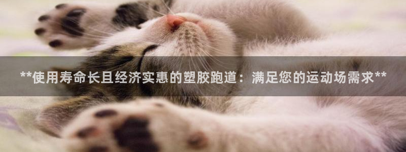 红足1世手机板：**使用寿命长且经济实惠的塑胶跑道：满足您的运动场需求**