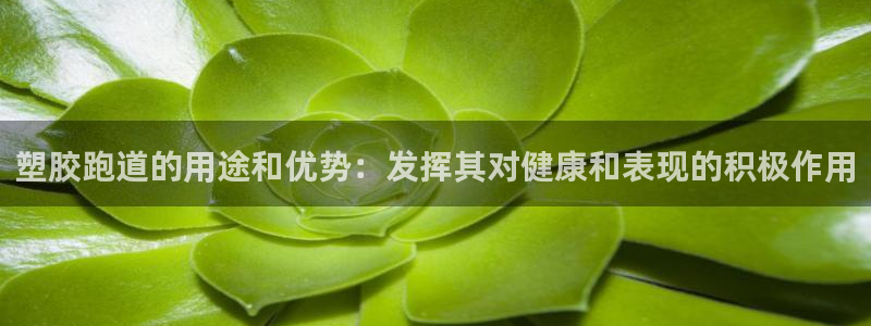 红足i世足球手机网：塑胶跑道的用途和优势：发挥其对健康和表现的积极作用