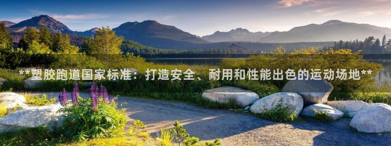 红足一球：**塑胶跑道国家标准：打造安全、耐用和性能出色的运动场地**