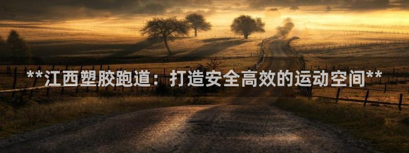 红足一1世皇冠登录：**江西塑胶跑道：打造安全高效的运动空间**