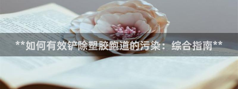 44814红足：**如何有效铲除塑胶跑道的污染：综合指南**