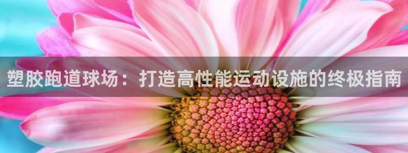红足1世足球网址