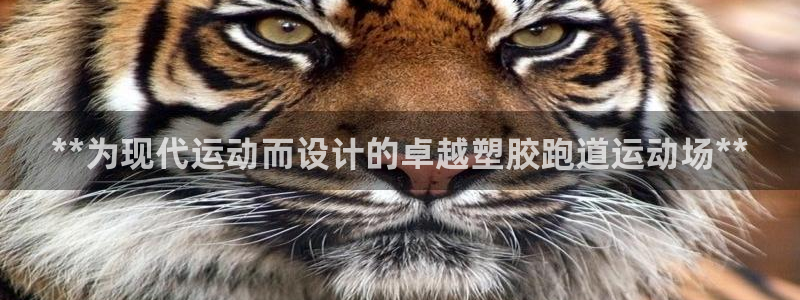 红足一1世比分球探：**为现代运动而设计的卓越塑胶跑道运动场**