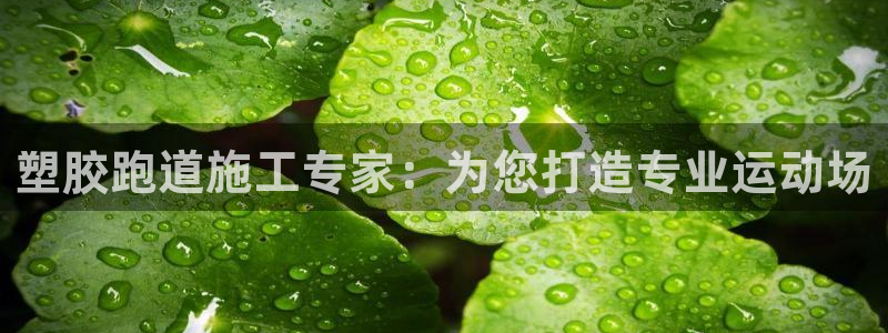 百度红足一1是为什么：塑胶跑道施工专家：为您打造专业运动场