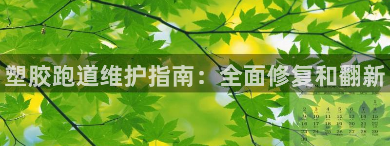 333814红·足一世比分
