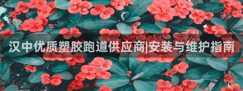红足一1世66814新宝：汉中优质塑胶跑道供应商|安装与维护指南