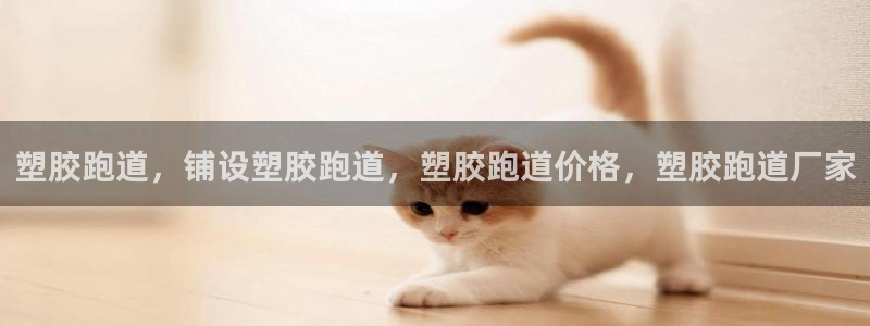 红足一1世66814新宝：塑胶跑道，铺设塑胶跑道，塑胶跑道价格，塑胶跑道厂家