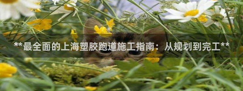 红足1世足球比分预测：**最全面的上海塑胶跑道施工指南：从规划到完工**
