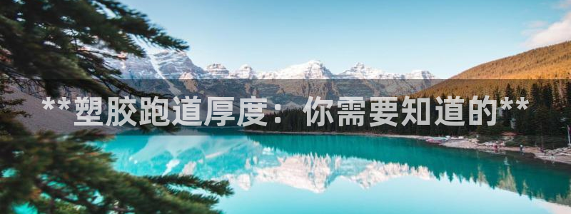 百度红足一1使用说明：**塑胶跑道厚度：你需要知道的**