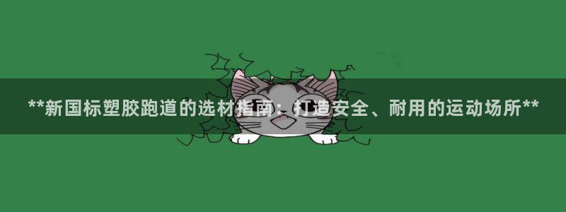 777814红·足一世比分篮球：**新国标塑胶跑道的选材指南：打造安全、耐用的运动场所**