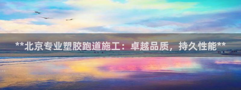 红足一1世：**北京专业塑胶跑道施工：卓越品质，持久性能**
