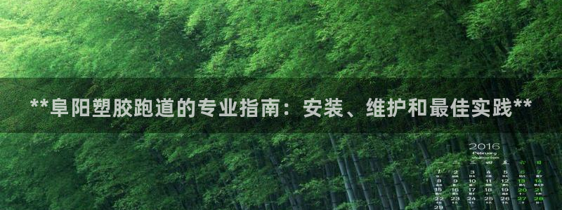 红足一1世官网：**阜阳塑胶跑道的专业指南：安装、维护和最佳实践**