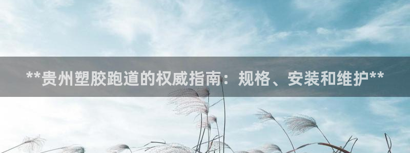 红足1世官网：**贵州塑胶跑道的权威指南：规格、安装和维护**
