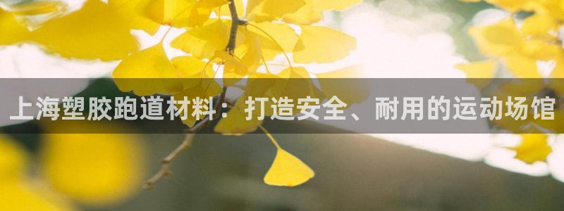 红足一比分网