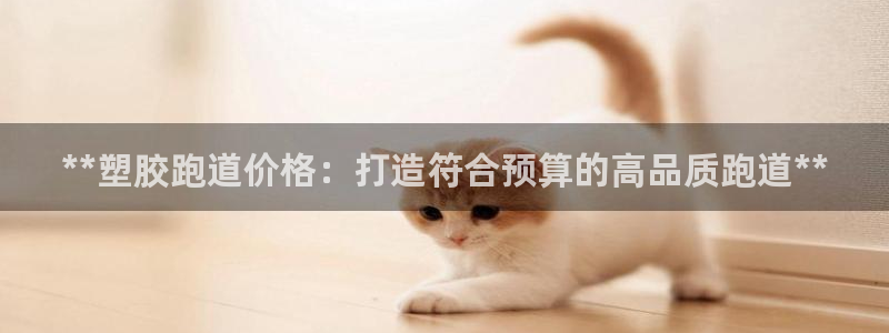 红足1世足球网址大全：**塑胶跑道价格：打造符合预算的高品质跑道**