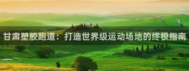 红足一1世：甘肃塑胶跑道：打造世界级运动场地的终极指南
