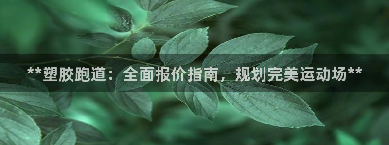红足一1世666814足球：**塑胶跑道：全面报价指南，规划完美运动场**