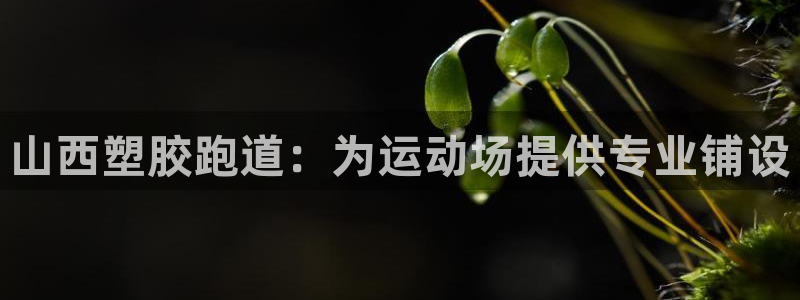 红足1世1站2站管理网：山西塑胶跑道：为运动场提供专业铺设