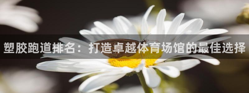 红世一足球比分：塑胶跑道排名：打造卓越体育场馆的最佳选择