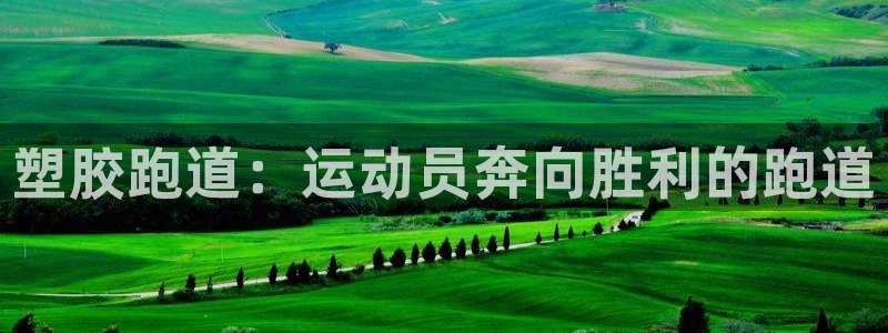 4633333开奖结果4176一点红：塑胶跑道：运动员奔向胜利的跑道