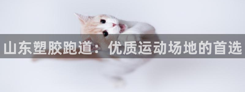 红足一1世官网比分