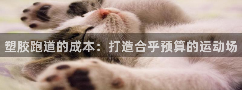 666814红·足一世比分：塑胶跑道的成本：打造合乎预算的运动场
