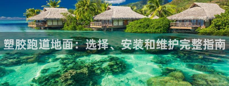 百度红足一1是为什么：塑胶跑道地面：选择、安装和维护完整指南